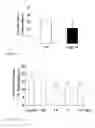 Fig. 18 - Anti aging agents and methods to identify them