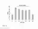 Fig. 19 - Anti aging agents and methods to identify them