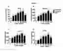 Fig. 05 - Methods for preventing and/or treating lysosomal storage disorders