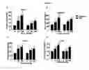 Fig. 06 - Methods for preventing and/or treating lysosomal storage disorders