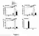 Fig. 02 - REGULATING IL-4 AND IL-13 LEVELS BY BLOCKING HIGH AFFINITY BINDING BY IL-3, IL-5 AND GM-CSF TO THEIR COMMON RECEPTOR