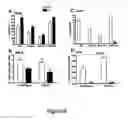 Fig. 09 - REGULATING IL-4 AND IL-13 LEVELS BY BLOCKING HIGH AFFINITY BINDING BY IL-3, IL-5 AND GM-CSF TO THEIR COMMON RECEPTOR