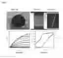 Fig. 02 - METHODS OF USING AND CONSTRUCTING NANOSENSOR PLATFORMS