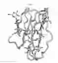 Fig. 19 - Methods and Structural Conformations of Antibody Preparations with Increased Resistance to Proteases