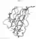 Fig. 20 - Methods and Structural Conformations of Antibody Preparations with Increased Resistance to Proteases