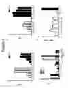 Fig. 09 - IL-33 IN INFLAMMATORY DISEASE