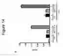 Fig. 22 - IL-33 IN INFLAMMATORY DISEASE