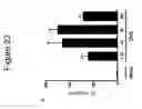 Fig. 35 - IL-33 IN INFLAMMATORY DISEASE