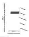 Fig. 02 - METHODS FOR TREATING OR PREVENTING DISEASES ASSOCIATED WITH LOW BONE MASS