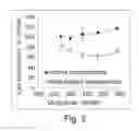 Fig. 03 - Uniform field magnetization and targeting of therapeutic formulations