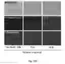 Fig. 19 - Uniform field magnetization and targeting of therapeutic formulations