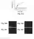 Fig. 20 - Uniform field magnetization and targeting of therapeutic formulations