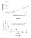 Fig. 27 - Uniform field magnetization and targeting of therapeutic formulations