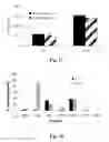 Fig. 34 - Uniform field magnetization and targeting of therapeutic formulations