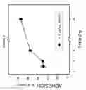 Fig. 06 - PAI-1 BINDING MODULATORS FOR THE TREATMENT OF OCULAR DISORDERS