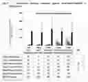 Fig. 09 - Influenza composition