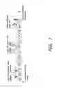 Fig. 02 - INDUCTION OF IMMUNOLOGICAL TOLERANCE