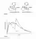 Fig. 02 - Oral pharmaceutical dosage forms