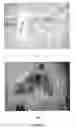 Fig. 04 - Biocompatible and Biodegradable Biopolymer Matrix