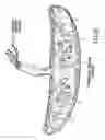 Fig. 06 - Tissue matrices comprising placental stem cells