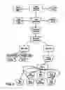 Fig. 09 - Tissue matrices comprising placental stem cells