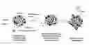 Fig. 01 - Delivery of AS-oligonucleotide microspheres to induce dendritic cell tolerance for the treatment of autoimmune type 1 diabetes