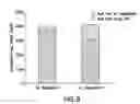 Fig. 09 - High Fiber Nutritional Emulsions