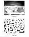 Fig. 07 - Method for loading nanoporous layers with therapeutic agent