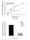 Fig. 12 - Method for loading nanoporous layers with therapeutic agent