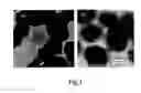 Fig. 02 - Method for producing polymer coating on particle surfaces