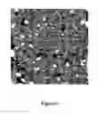 Fig. 07 - Nanostructure arrays and fabrication methods therefor