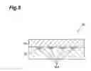 Fig. 06 - Dielectric device and method of manufacturing dielectric device