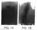 Fig. 02 - Method of preparing metallic nanoparticles and materials thus obtained