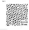 Fig. 02 - Silicon particle, silicon particle superlattice and method for producing the same