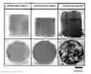 Fig. 01 - Composite metal material and method for producing the same