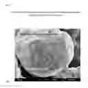 Fig. 07 - Composite metal material and method for producing the same