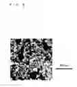 Fig. 09 - Membrane and electrode assembly and method of producing the same, and polymer electrolyte membrane fuel cell