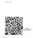 Fig. 10 - Membrane and electrode assembly and method of producing the same, and polymer electrolyte membrane fuel cell