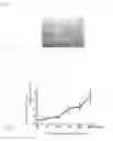 Fig. 08 - Method for efficient production of monocyte-derived multipotent cell (MOMC)