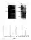 Fig. 06 - Methods for producing secondary metabolites