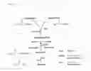Fig. 03 - Fermentative production of acetone from renewable resources by means of novel metabolic pathway