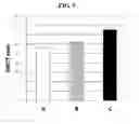 Fig. 07 - LONG ACTING FORMULATION OF BIOPHARMACEUTICAL