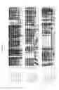 Fig. 08 - Glucuronyl C5-Epimerase, DNA encoding the same and uses thereof