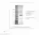 Fig. 14 - Glucuronyl C5-Epimerase, DNA encoding the same and uses thereof