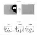 Fig. 02 - Method for the preparation of dermal papilla tissue employing mesenchymal stem cells