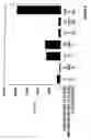 Fig. 07 - Nucleic acids specifically binding bioactive ghrelin