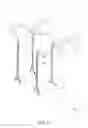 Fig. 02 - Multi-directional body swing, turn and twist trainer with interchangeable and adjustable attachments