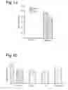 Fig. 02 - Unit dosage for brain health