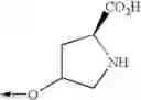 Fig. 554 - 8-substituted isoquinoline derivative and the use thereof