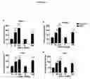 Fig. 04 - Methods for preventing and/or treating degenerative disorders of the central nervous system